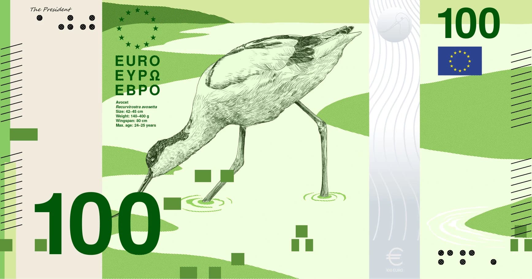 Proposta finalista per la banconota da 100 euro del tema 'Fiumi e uccelli', con un'avocetta in una zona umida
